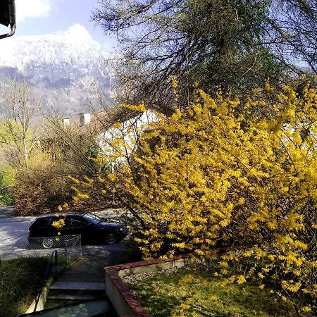 Ferienappartement Thumseestrasse Bad Reichenhall Exterior photo